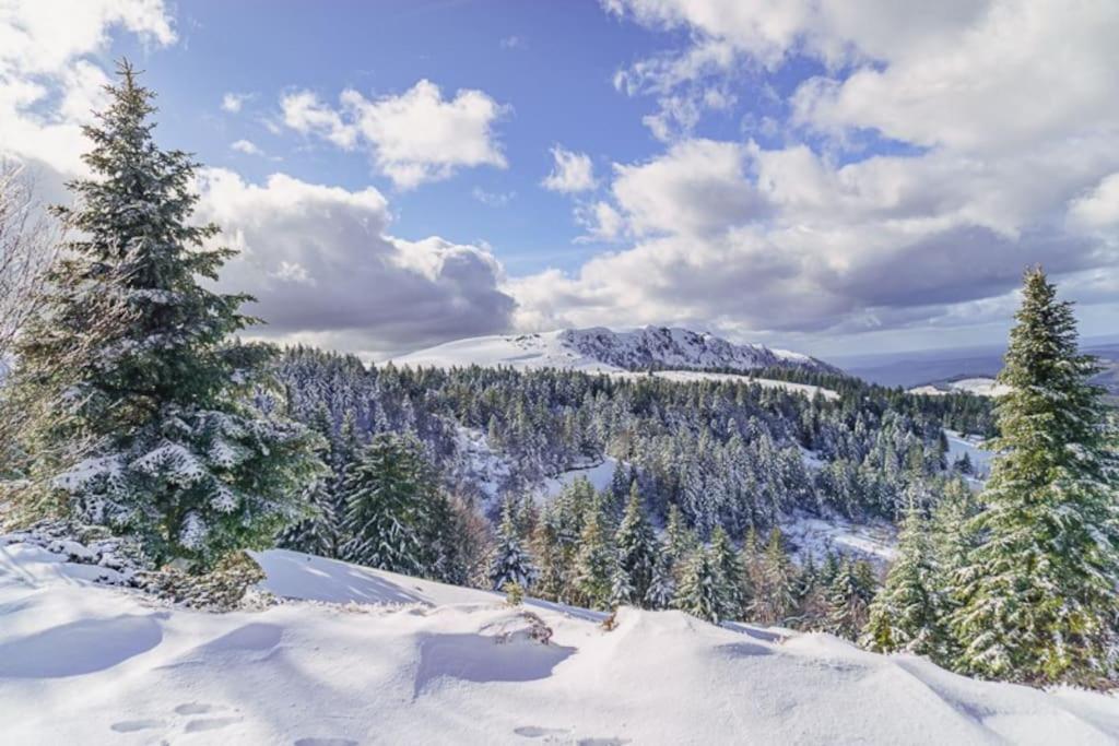 Appt Lumineux, Thermes Et Montagne La Bourboule Exterior foto