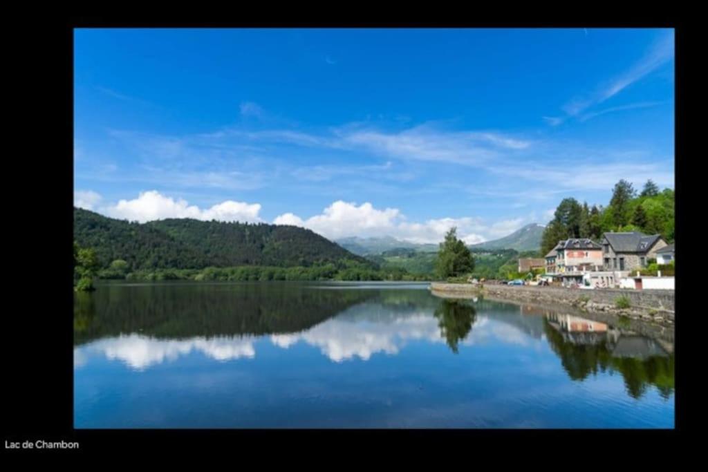 Appt Lumineux, Thermes Et Montagne La Bourboule Exterior foto