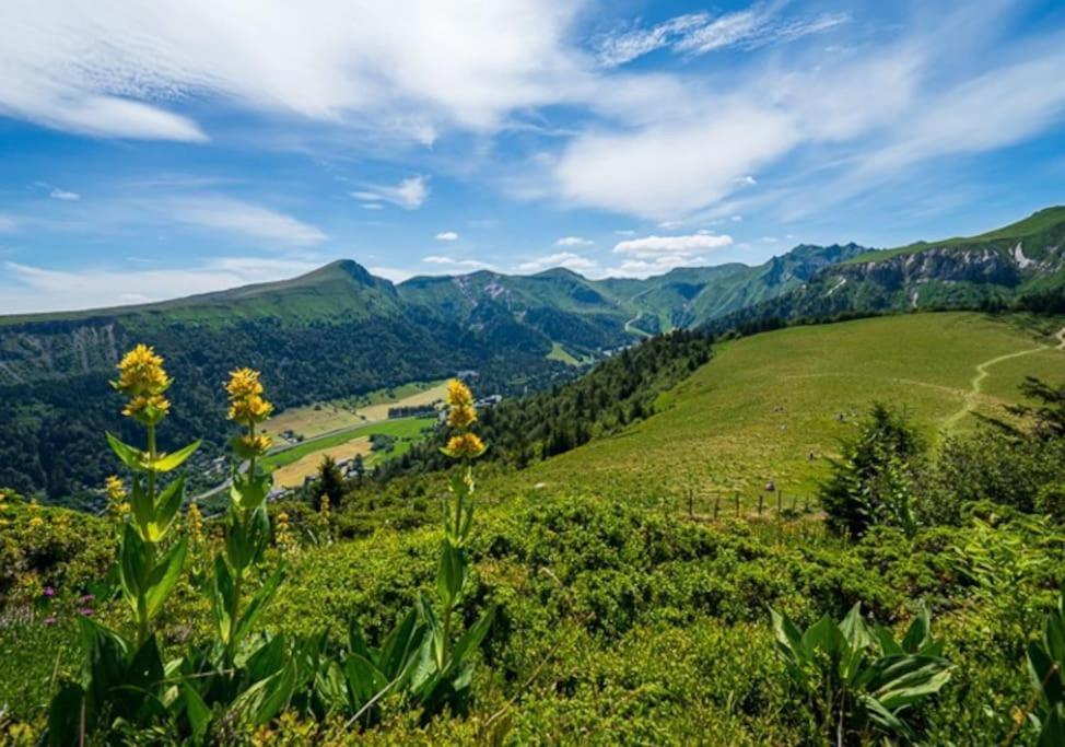 Appt Lumineux, Thermes Et Montagne La Bourboule Exterior foto