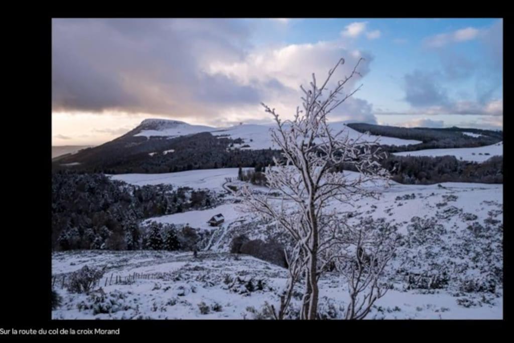 Appt Lumineux, Thermes Et Montagne La Bourboule Exterior foto