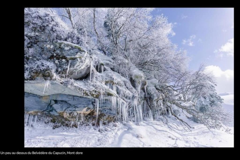 Appt Lumineux, Thermes Et Montagne La Bourboule Exterior foto