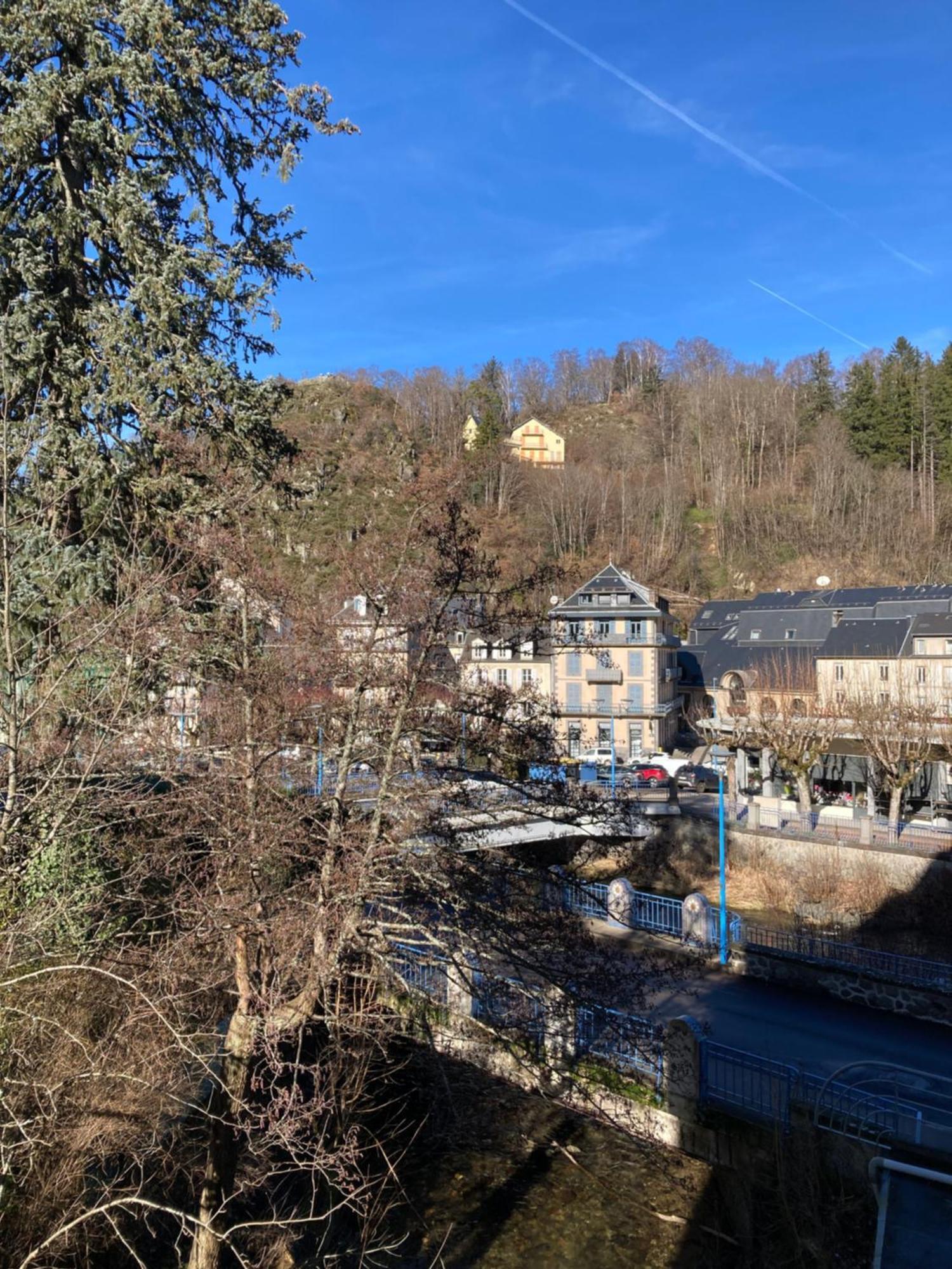 Appt Lumineux, Thermes Et Montagne La Bourboule Exterior foto